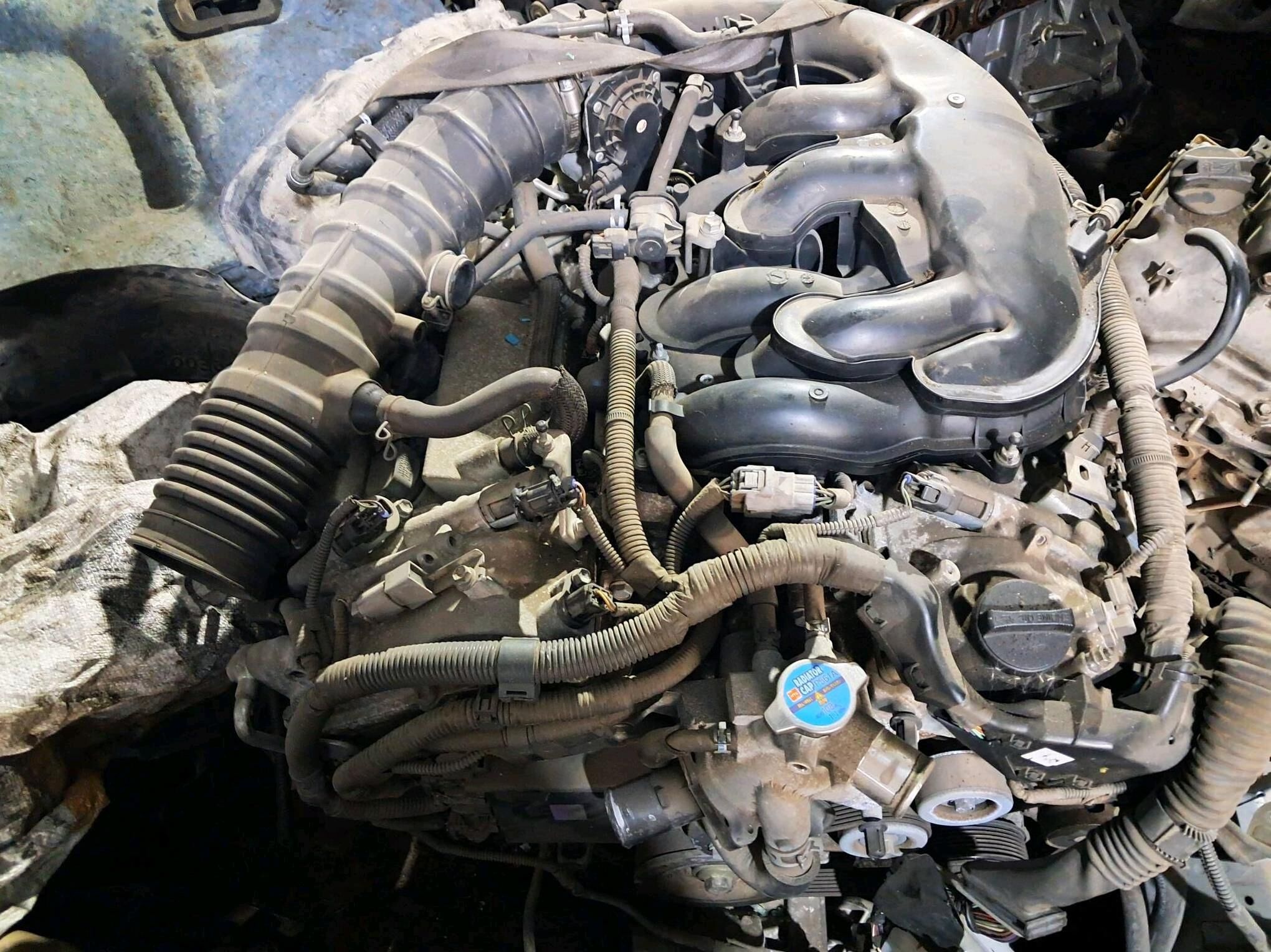 Morda Nisan misbusi  Leksus 1 000 TMT - Ашхабад - img 7