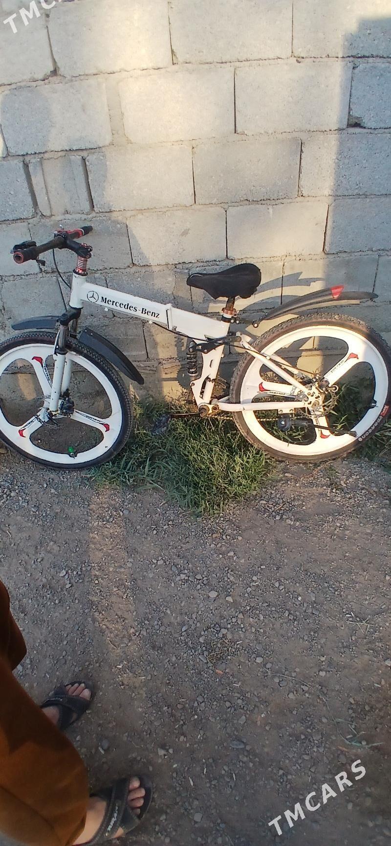 Tigir. - Tejen - img 4