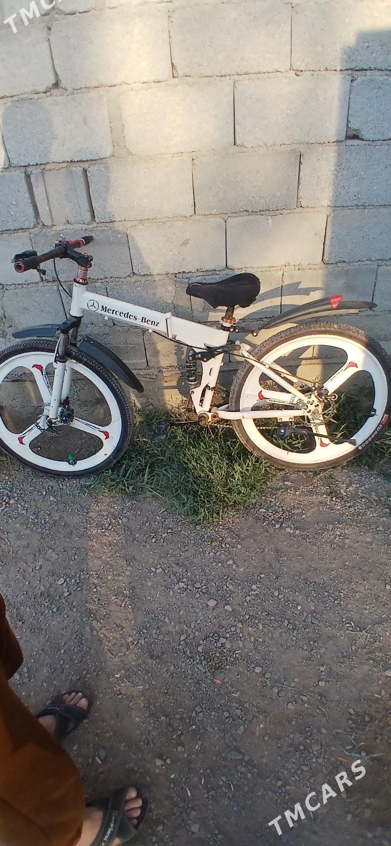 Tigir. - Tejen - img 3