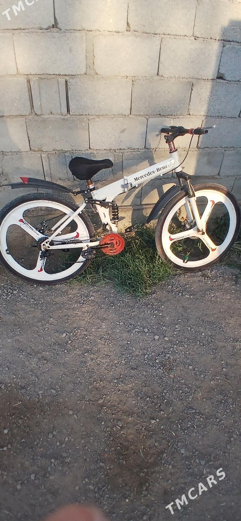 Tigir. - Tejen - img 2