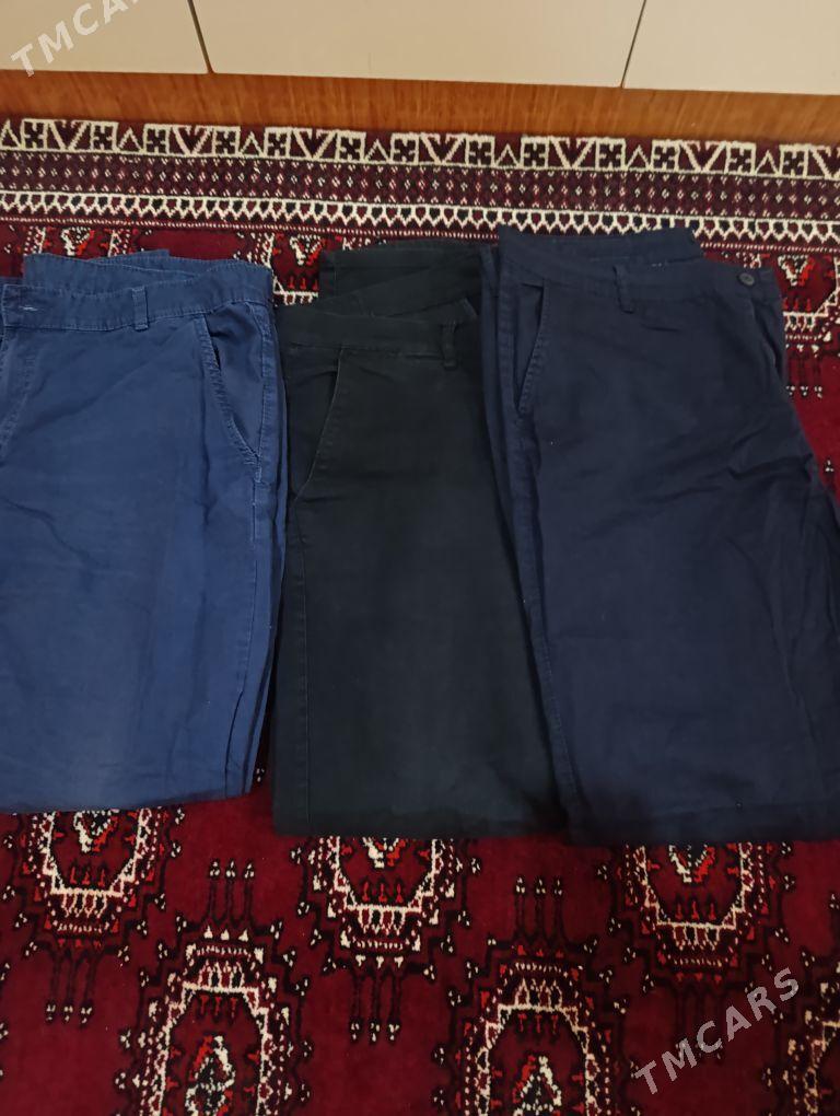 Erkek jalbarlar - 15-nji tapgyr - img 3