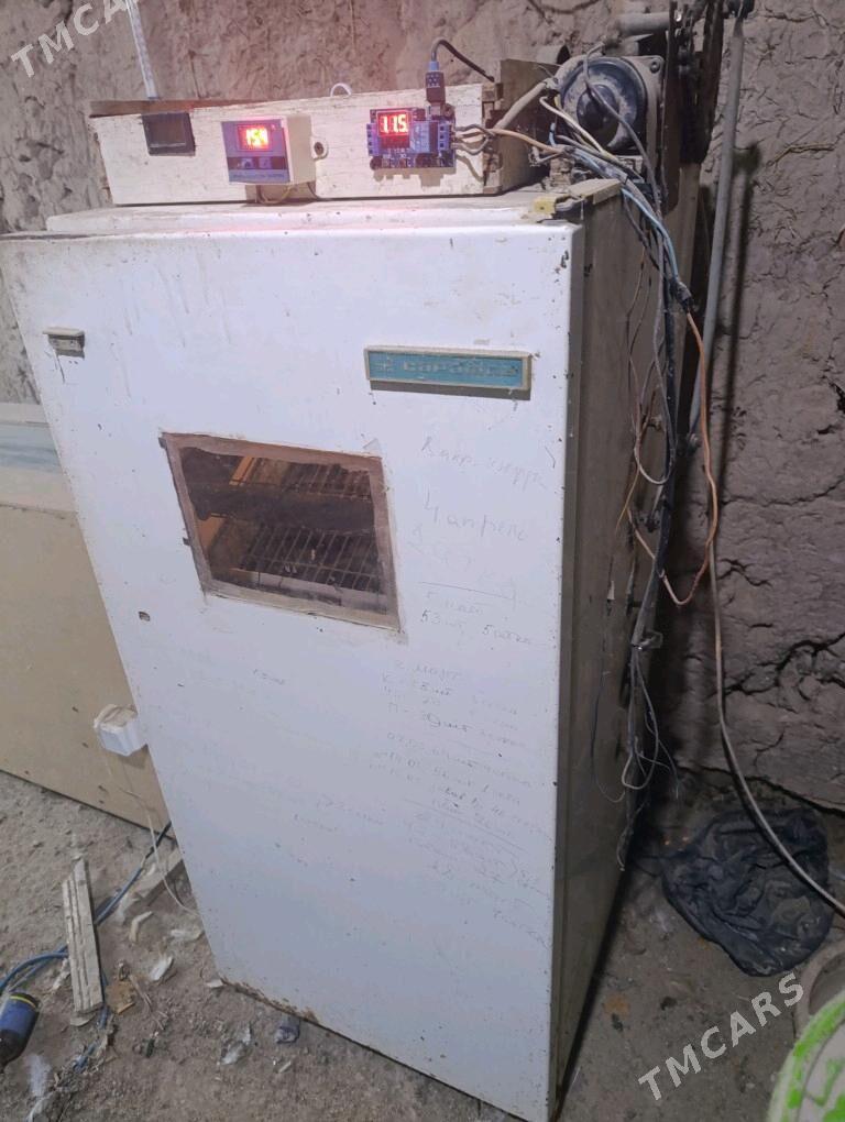 inkubator инкубатор - Daşoguz - img 2