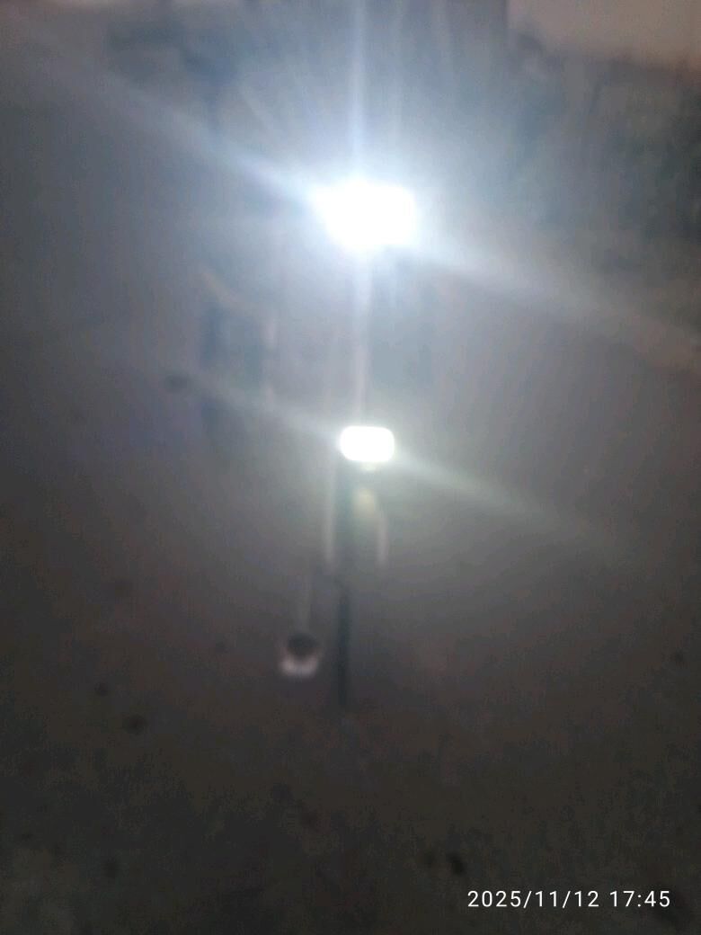 welik kama - Туркменабат - img 4