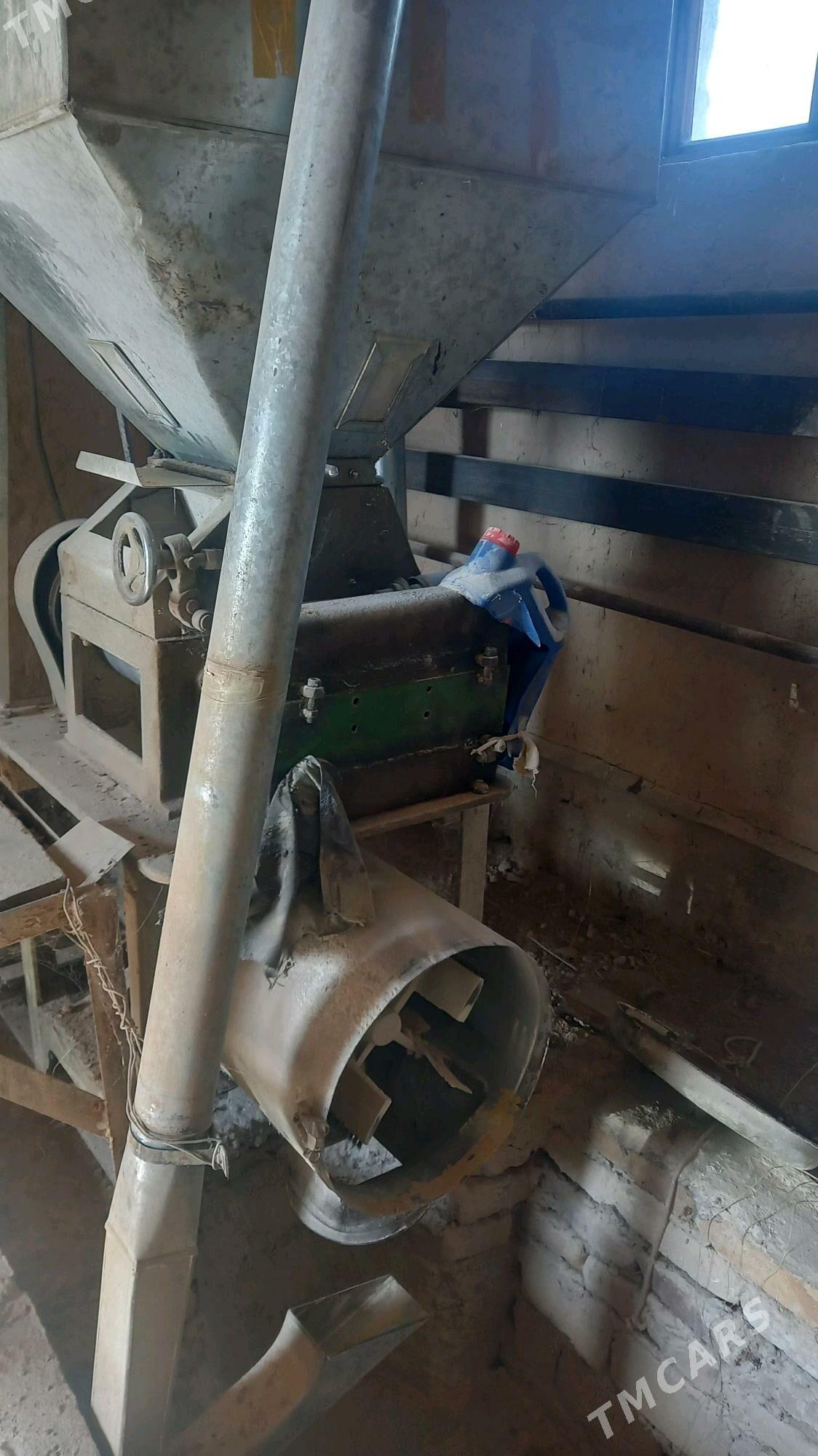 haraz - Болдумсаз - img 3