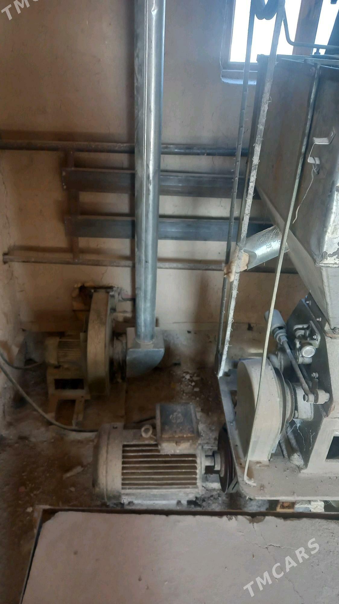 haraz - Болдумсаз - img 2