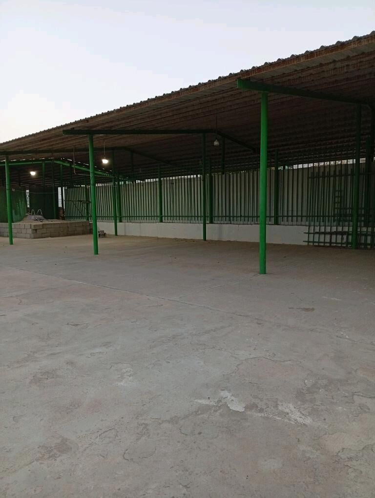 TAZE ZAMAN 2 ОТ ХОЗЯИНА - Täze zaman - img 3