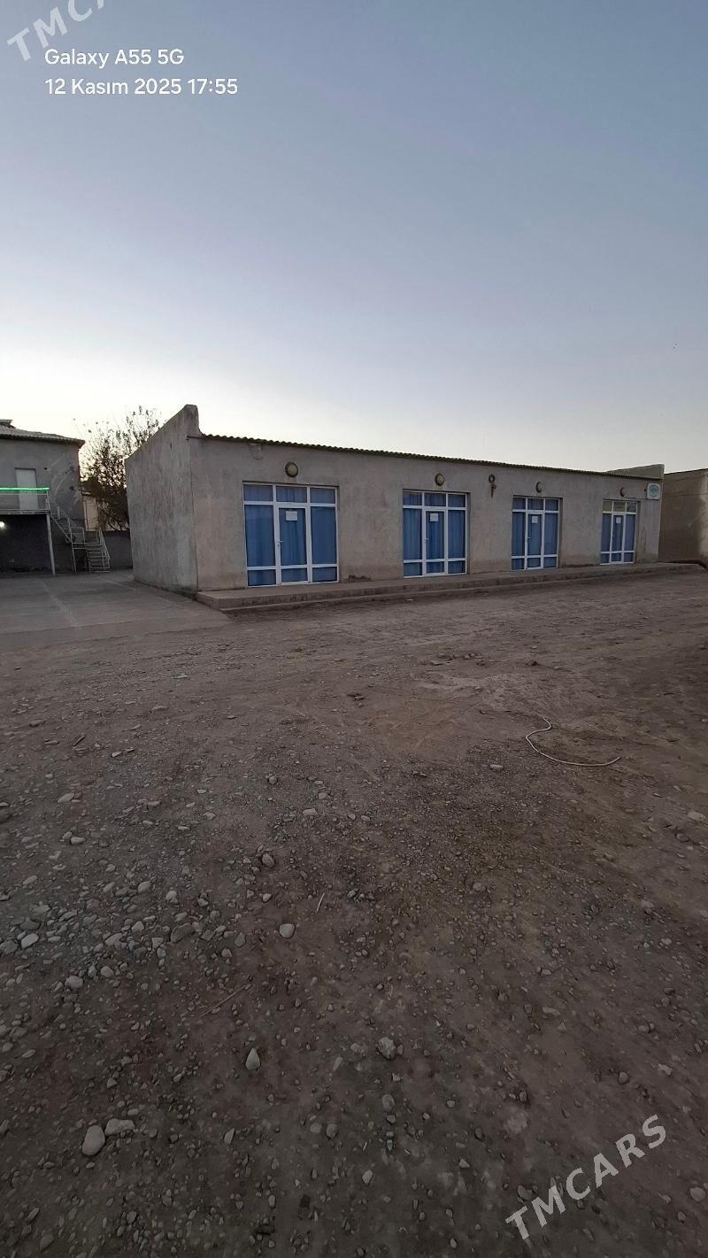 magazin kafe - Теджен - img 6