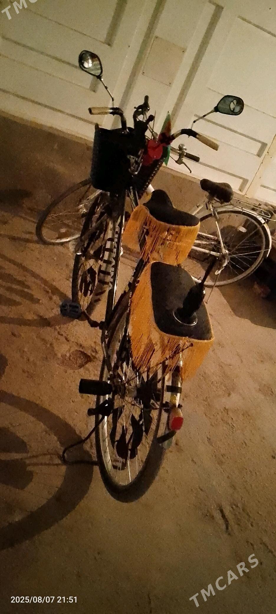 welik - Гурбансолтан Едже - img 7