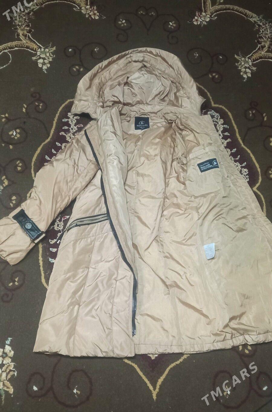 kurtkalar 1klas 8klas arzan - Туркменабат - img 5