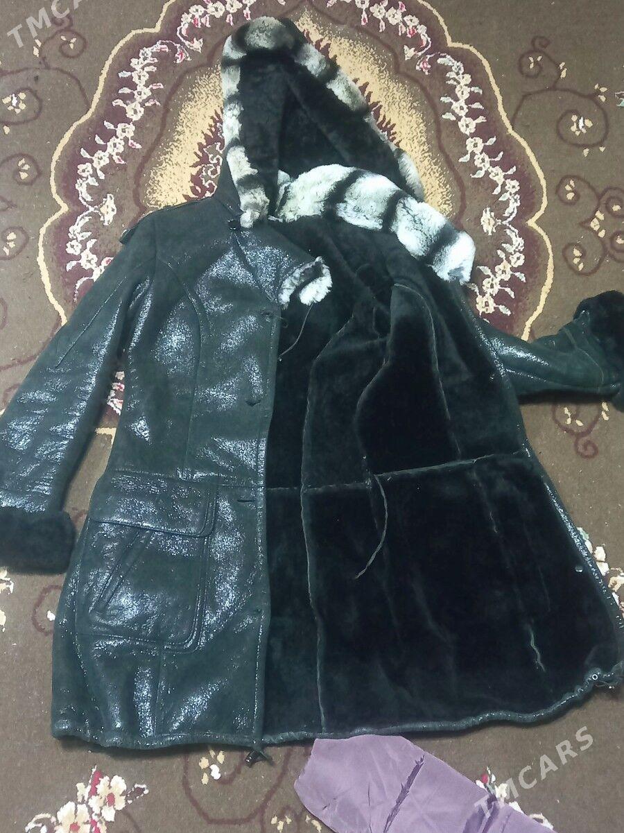 kurtkalar 1klas 8klas arzan - Туркменабат - img 4