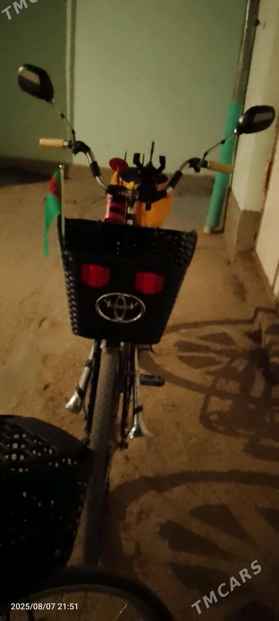 welik - Гурбансолтан Едже - img 5