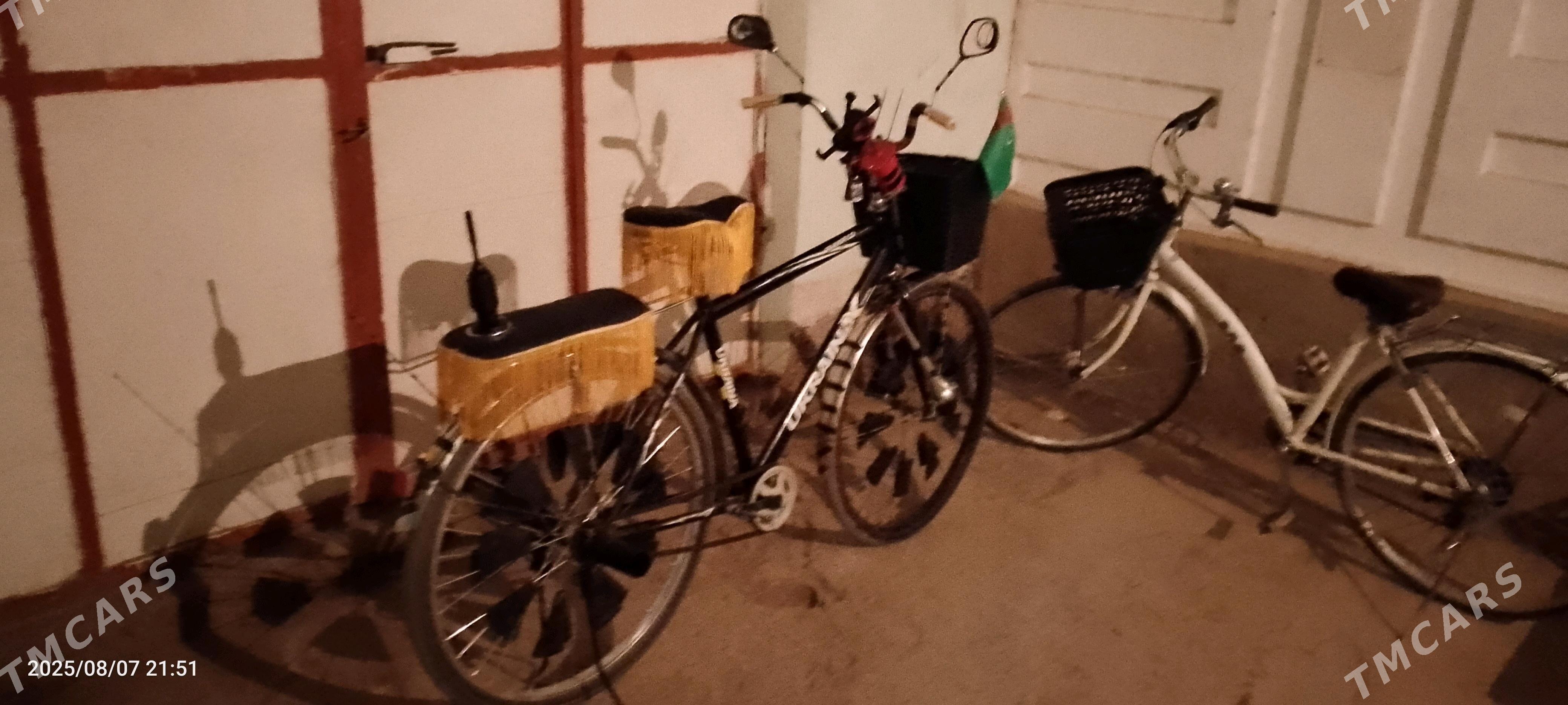 welik - Гурбансолтан Едже - img 6