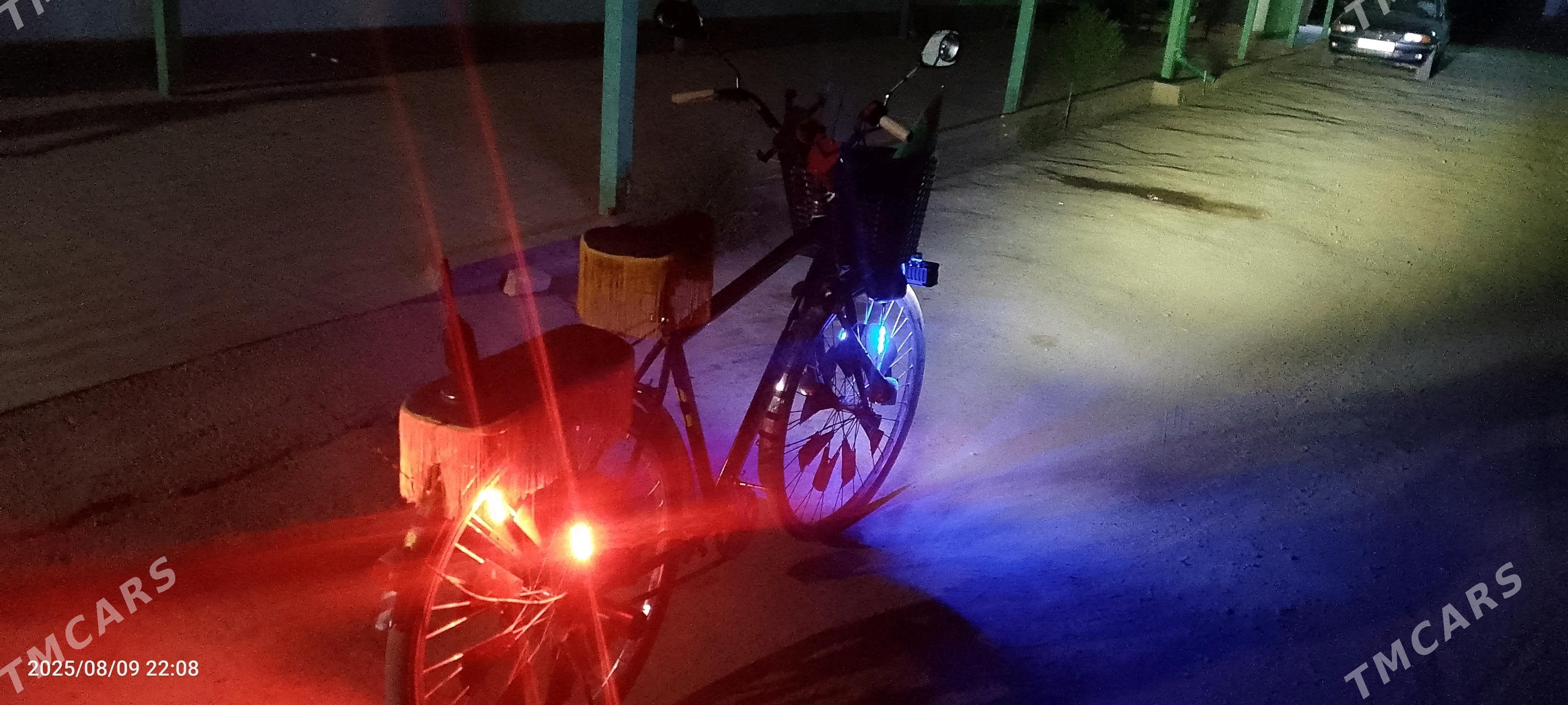 welik - Гурбансолтан Едже - img 3