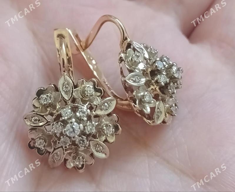 gyzyl gulakalka - Ашхабад - img 2