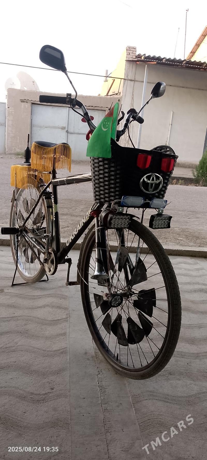 welik - Гурбансолтан Едже - img 8