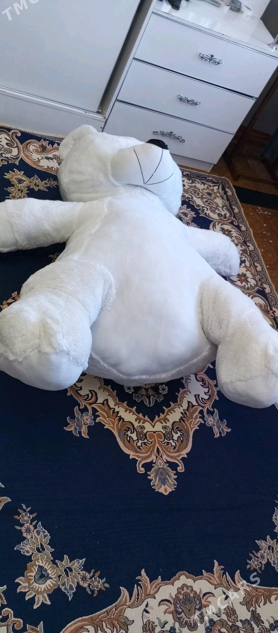 Mişka. Aýy - Дашогуз - img 4