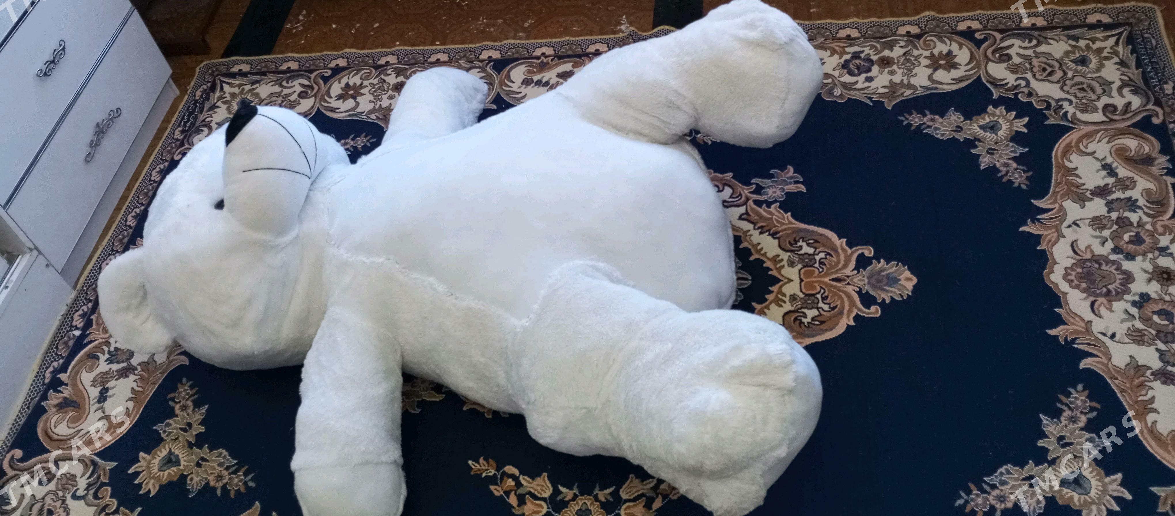 Mişka. Aýy - Дашогуз - img 5