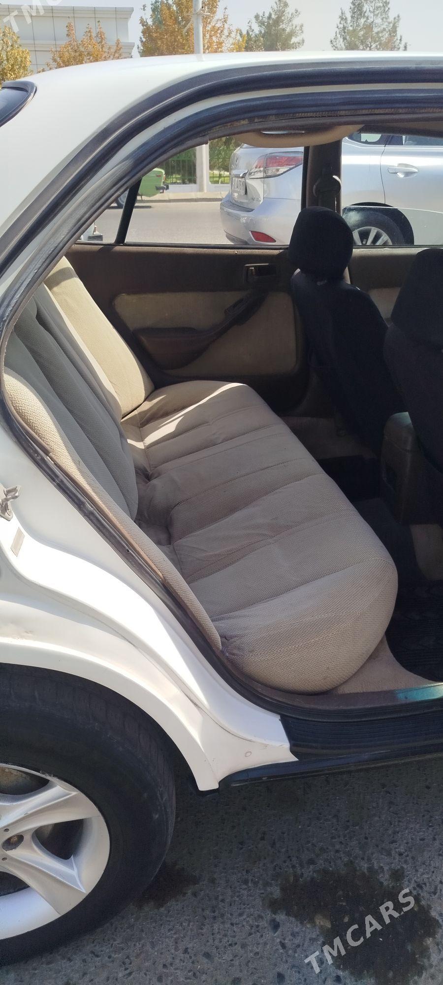 Toyota Camry 1994 - 80 000 TMT - Sakarçäge - img 6