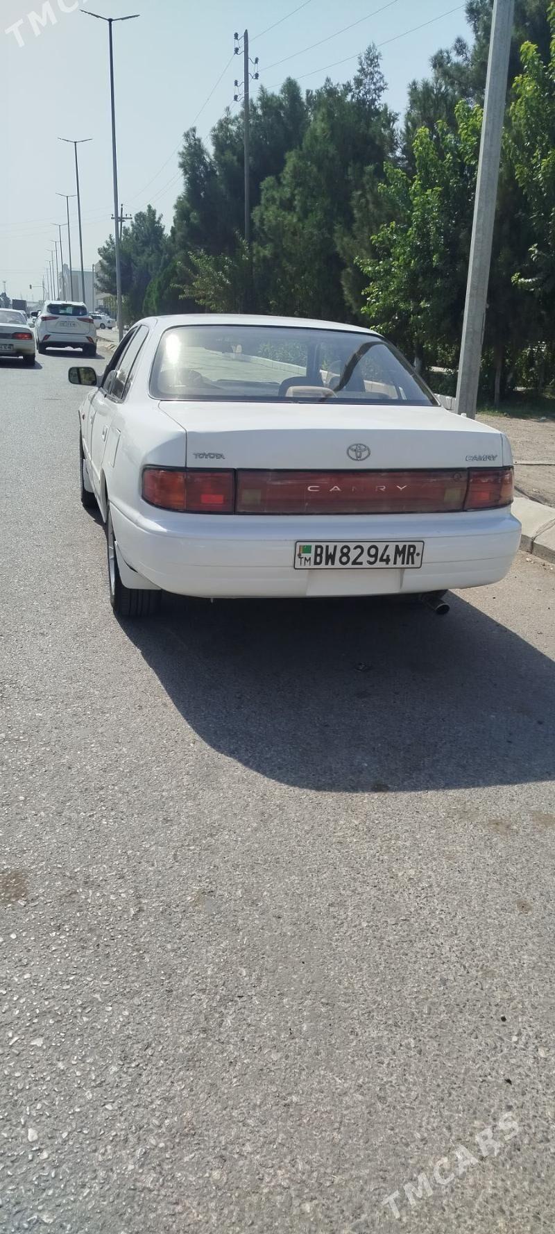 Toyota Camry 1994 - 80 000 TMT - Sakarçäge - img 9