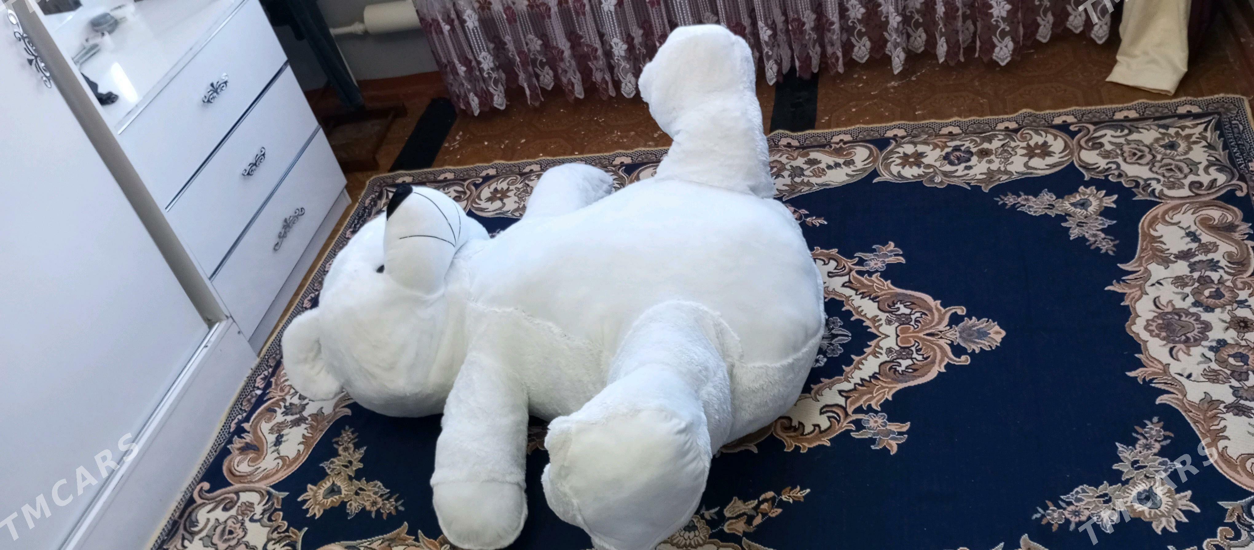 Mişka. Aýy - Дашогуз - img 2