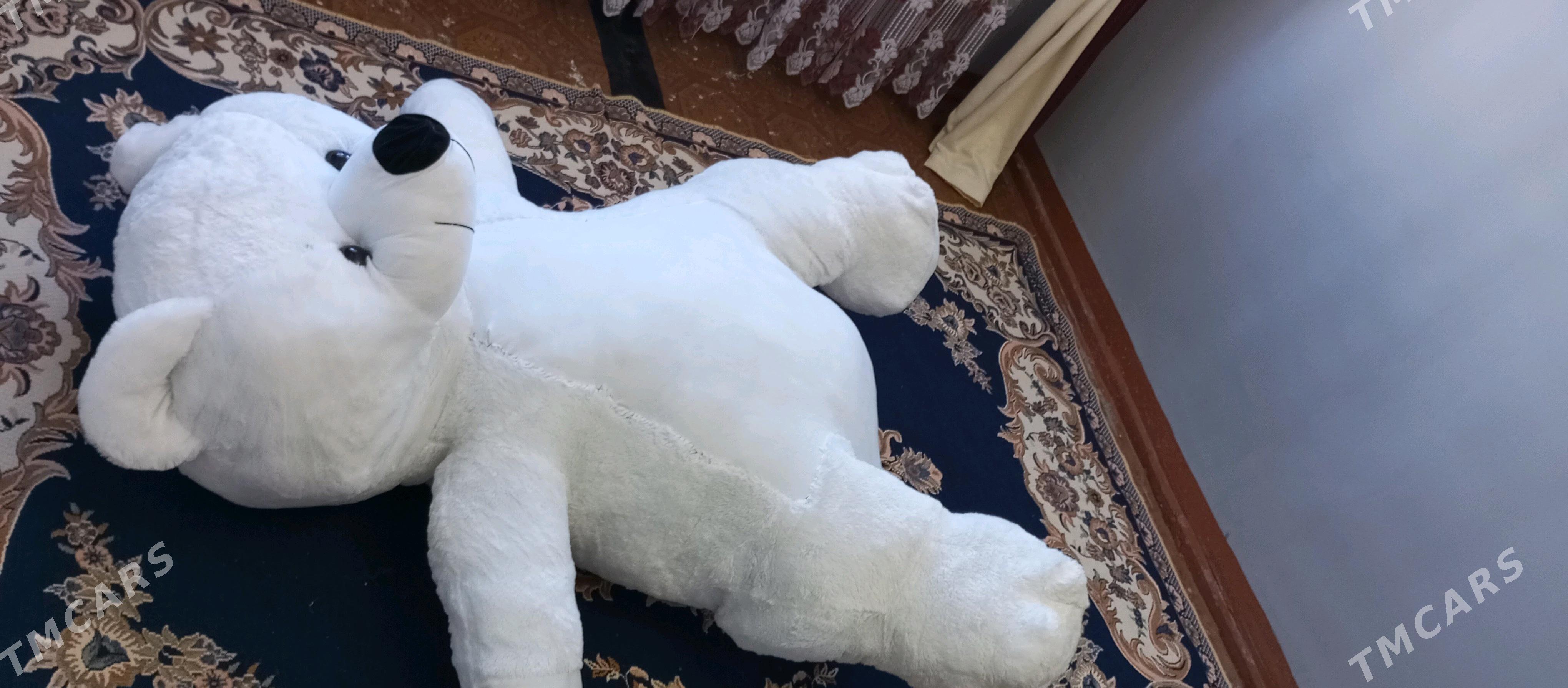 Mişka. Aýy - Дашогуз - img 3