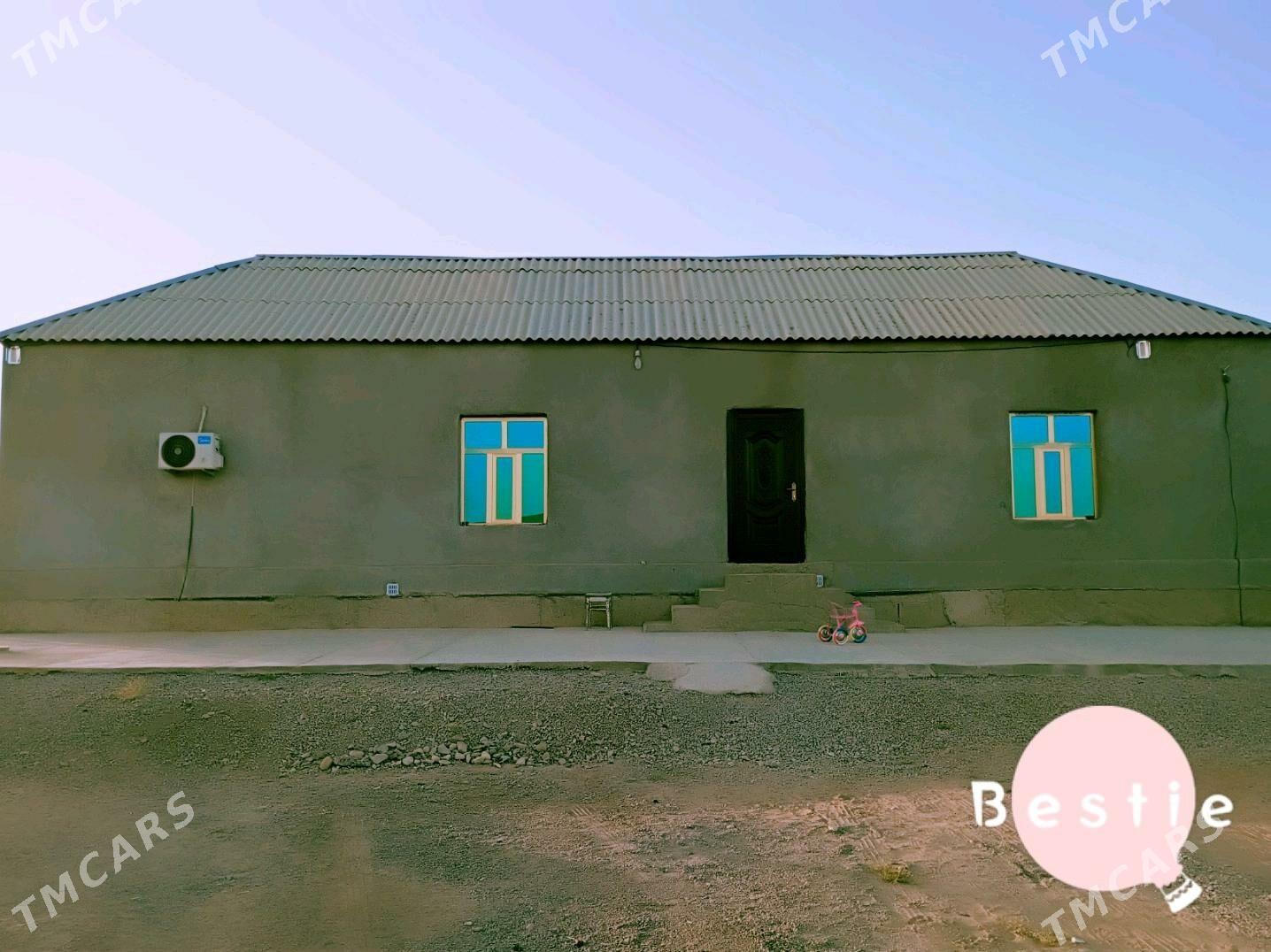 satlyk jay - Tejen - img 6