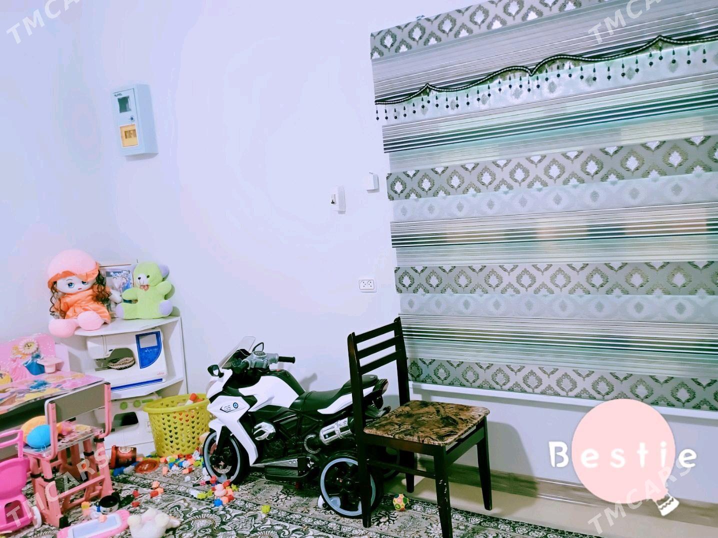 satlyk jay - Tejen - img 4