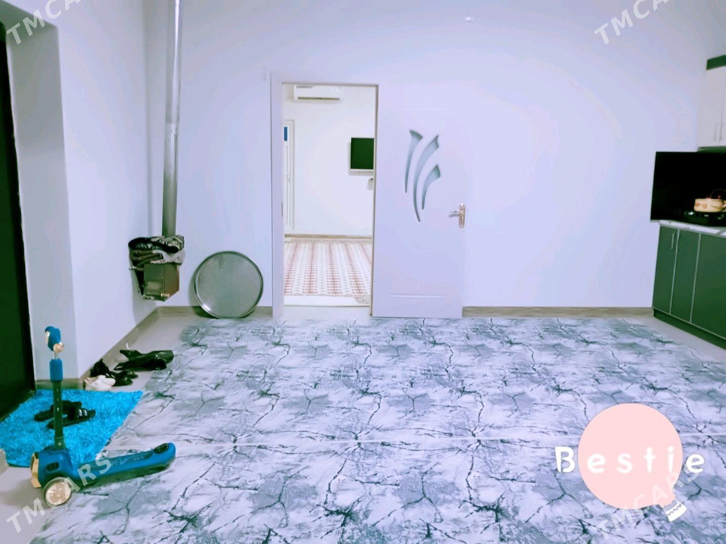 satlyk jay - Tejen - img 5