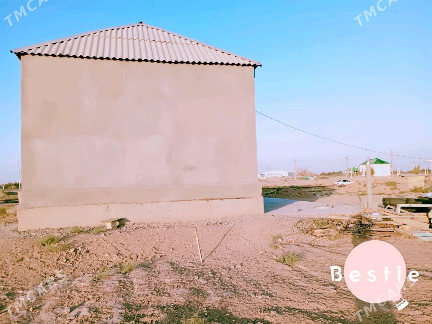 satlyk jay - Tejen - img 8