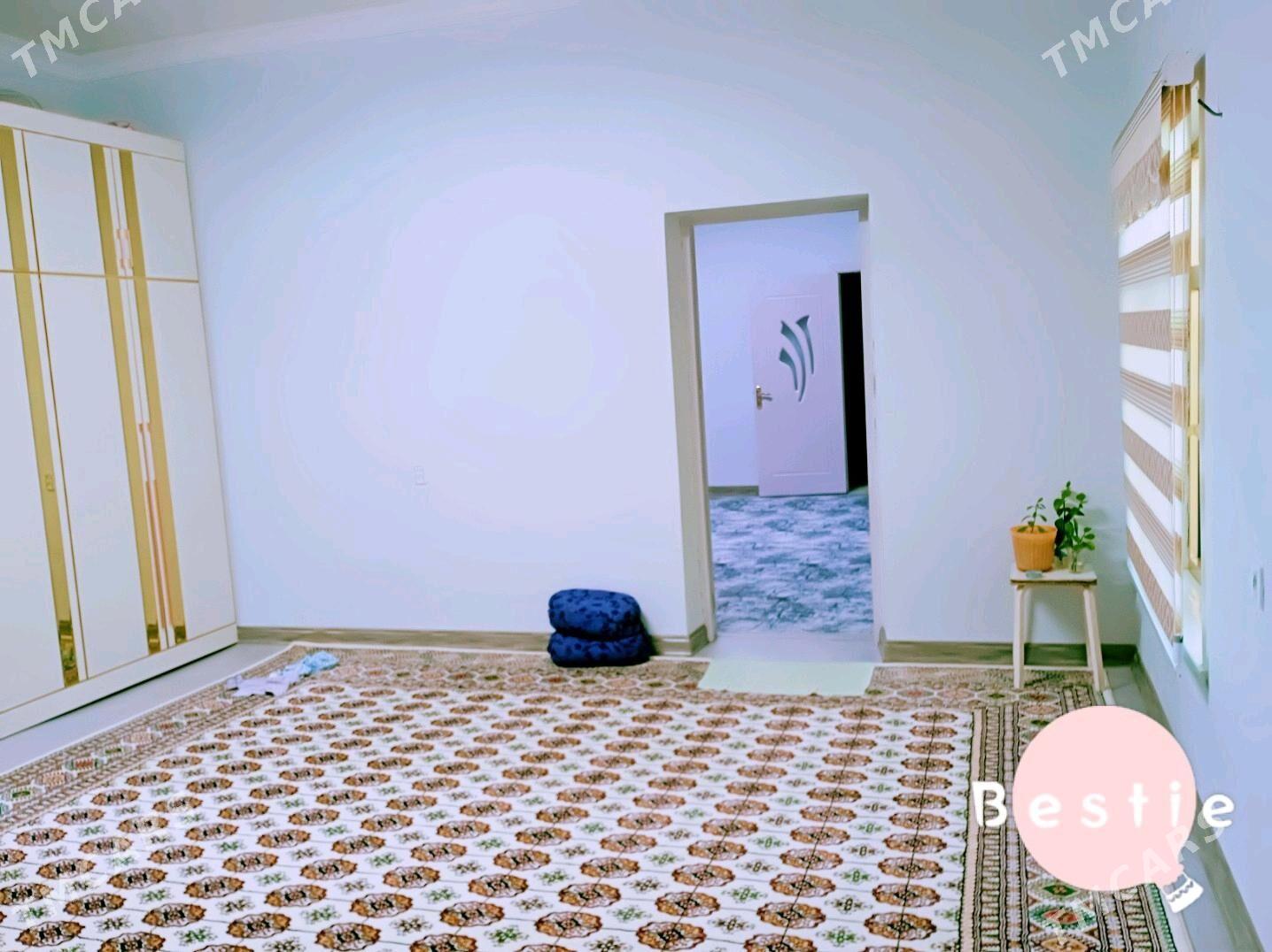 satlyk jay - Tejen - img 2