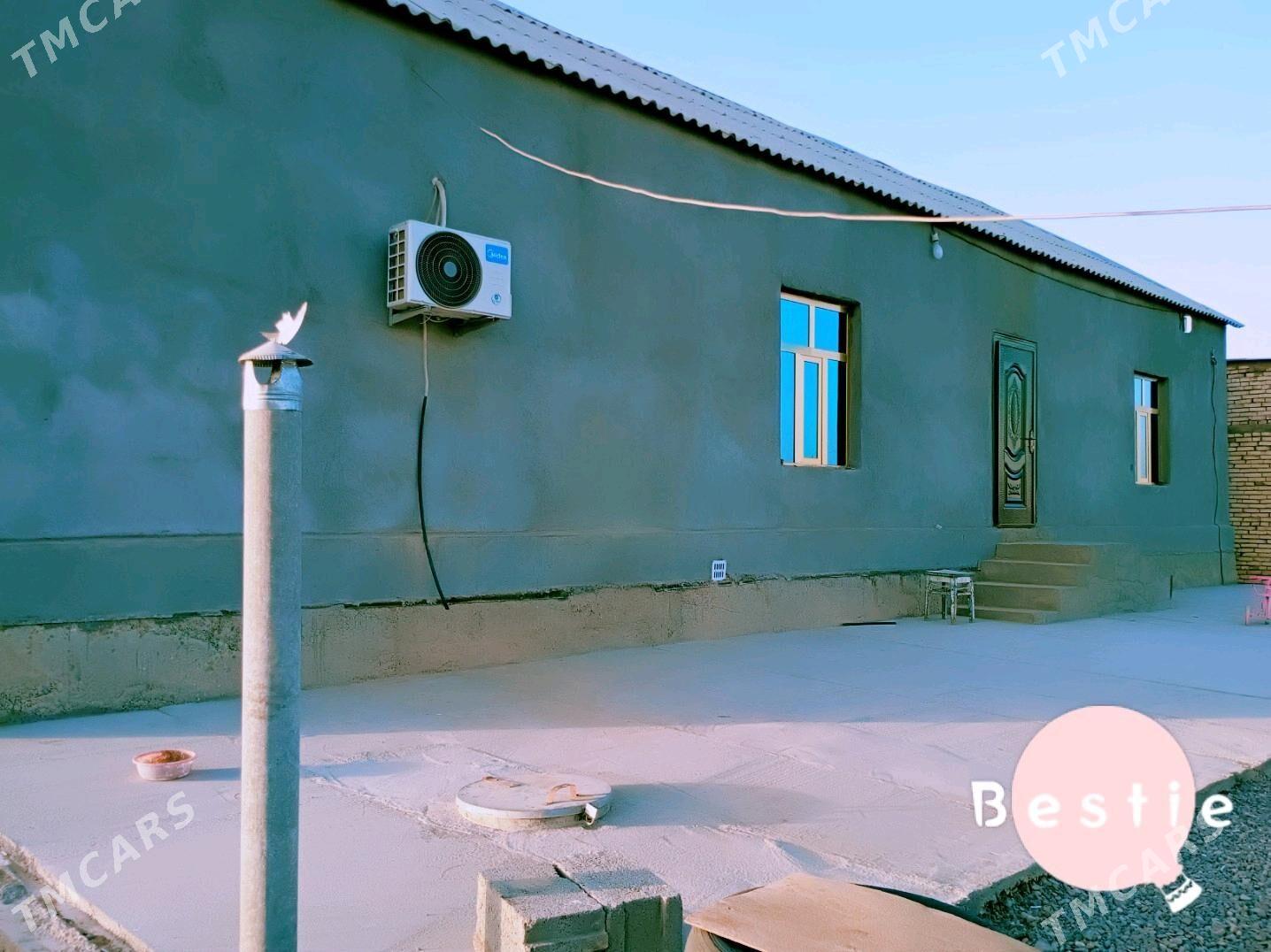 satlyk jay - Tejen - img 7