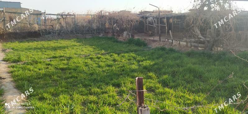 Аэропорт Дача - Туркменабат - img 5