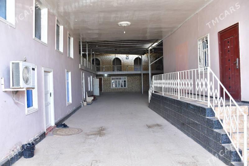 Frunza 48 Jay - Tejen - img 6