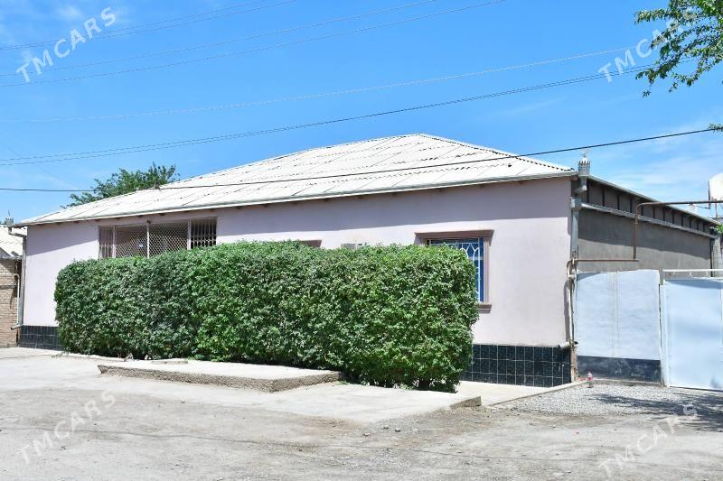 Frunza 48 Jay - Tejen - img 2