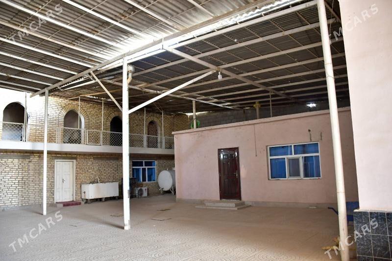 Frunza 48 Jay - Tejen - img 5