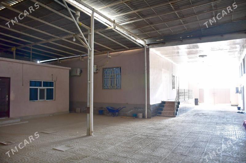 Frunza 48 Jay - Tejen - img 4