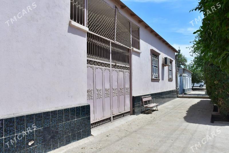 Frunza 48 Jay - Tejen - img 3