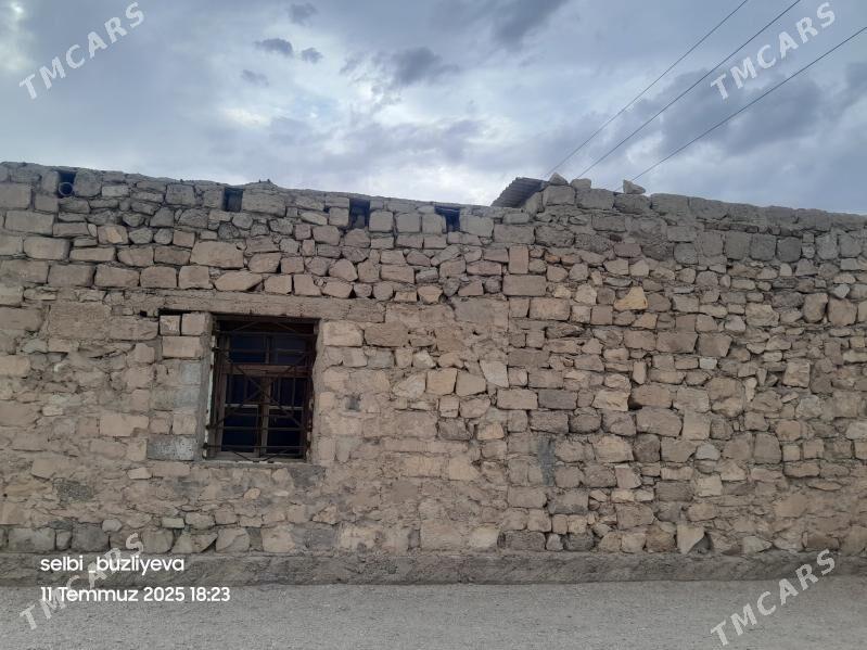 Gazakaul jay - Balkanabat - img 2