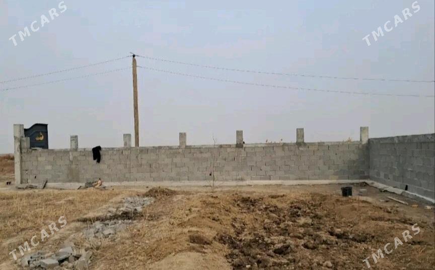 satlyk mellek ýer - Ýaşlyk - img 2