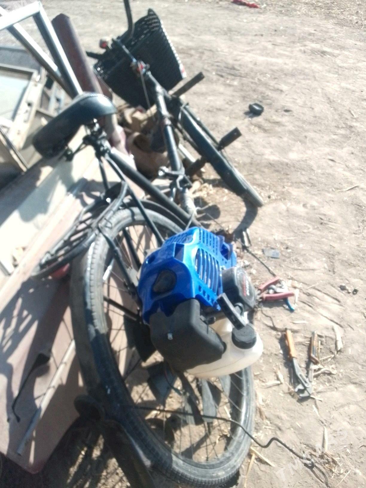 Tigir. - Gurbansoltan Eje - img 2