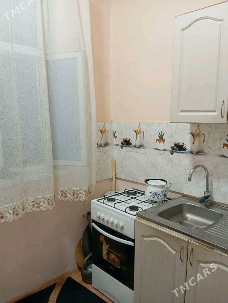 Satlyk jay  - Мары - img 8