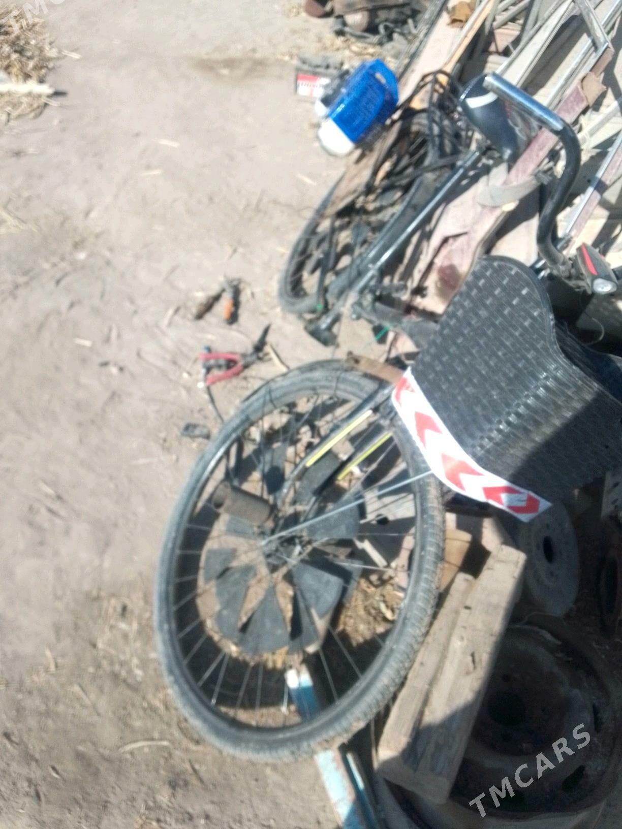 Tigir. - Gurbansoltan Eje - img 3