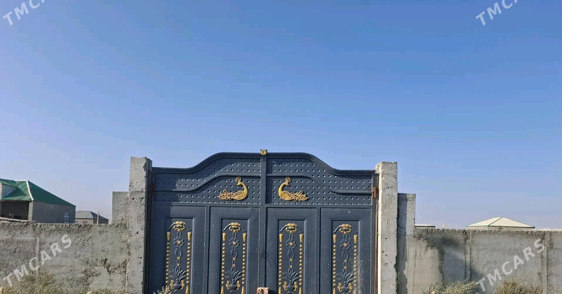 satlyk mellek ýer - Ýaşlyk - img 1