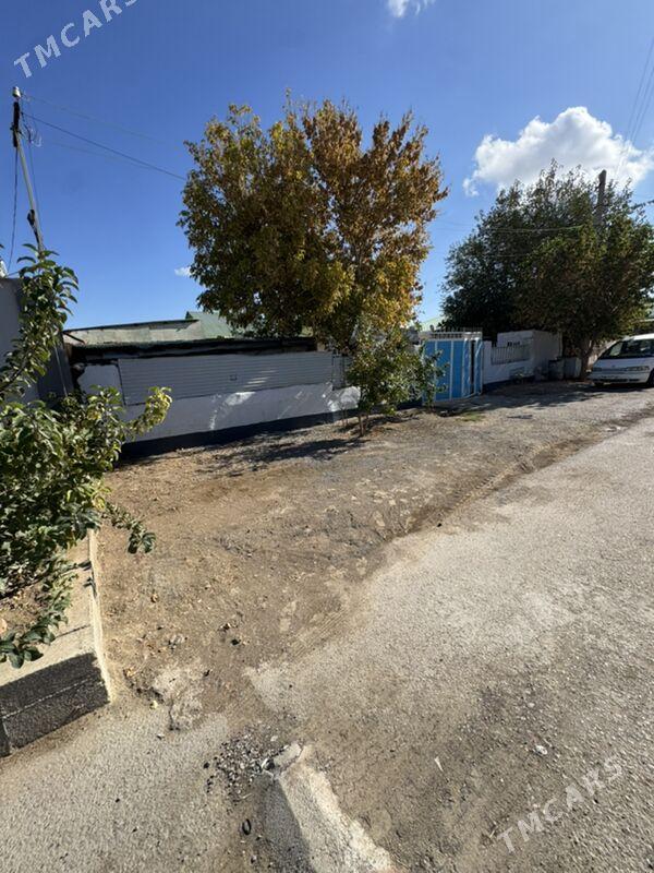 Satlyk jay coganly - Çoganly - img 2