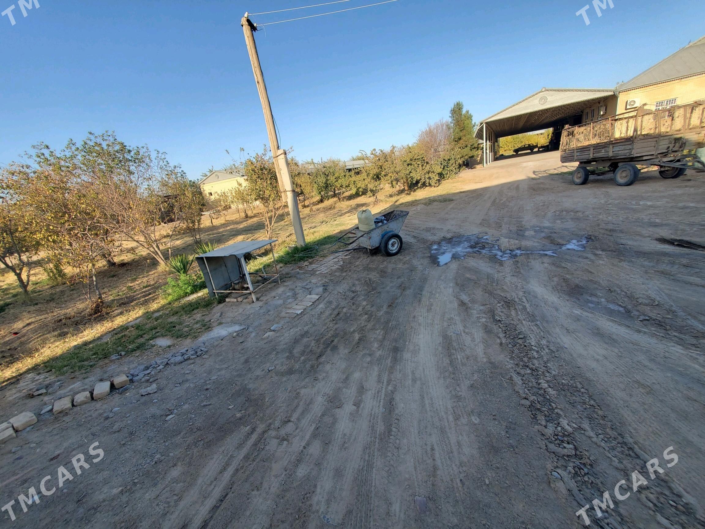 mellek yer - Baýramaly - img 2