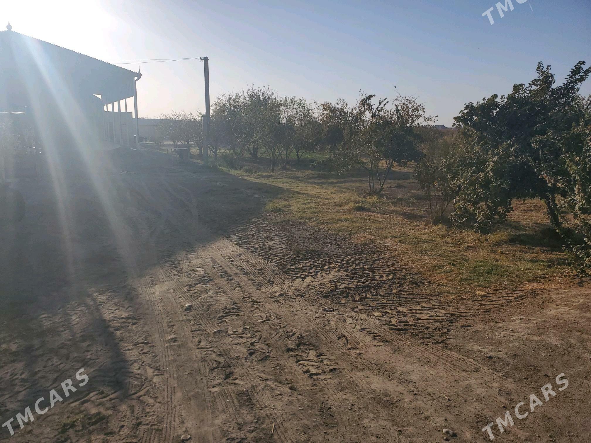 mellek yer - Baýramaly - img 1