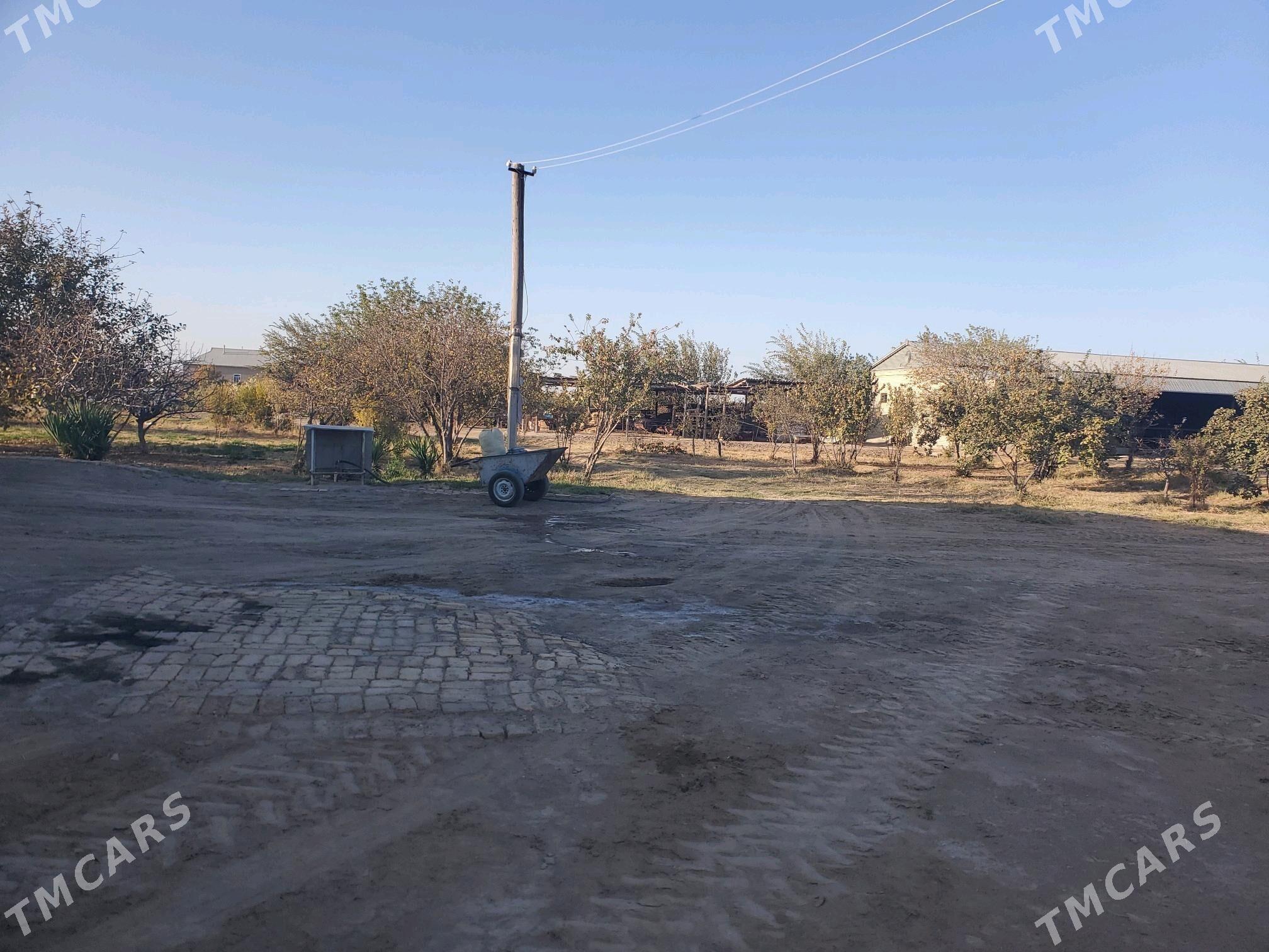 mellek yer - Baýramaly - img 4