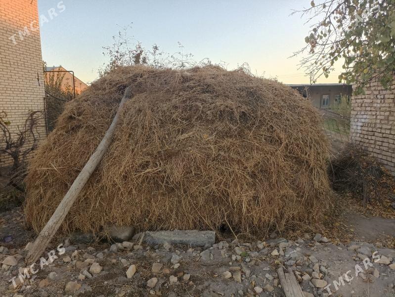 yorunja - Чарджоу - img 2