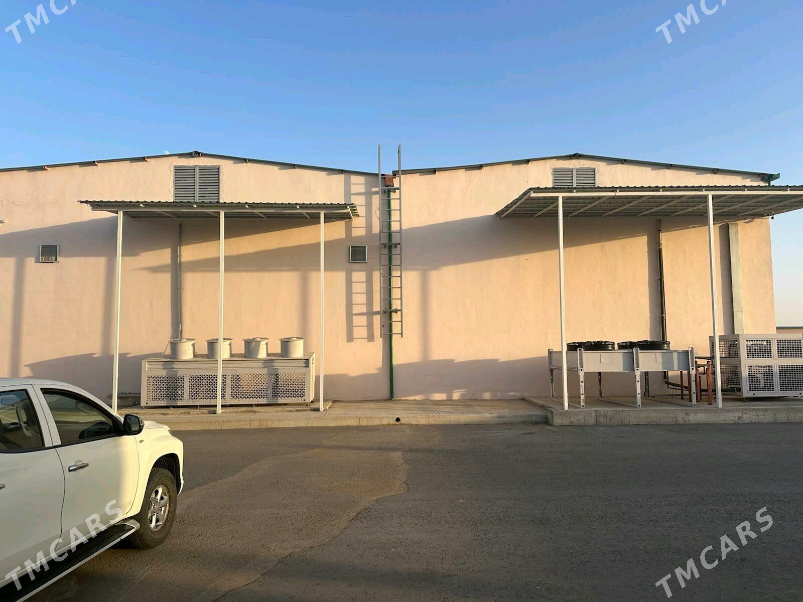 Arenda Promzona Angar Sklat - Ашхабад - img 7