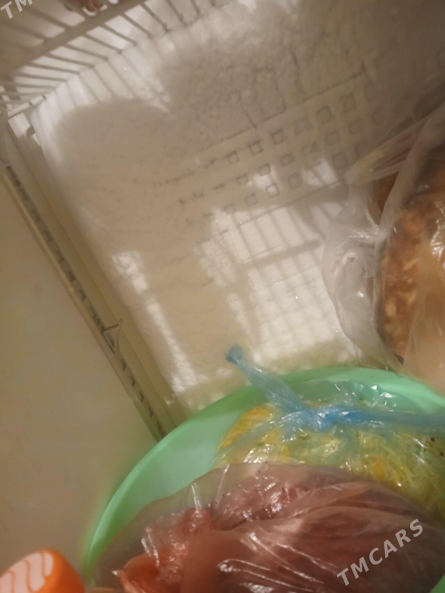 witinar - Daşoguz - img 3